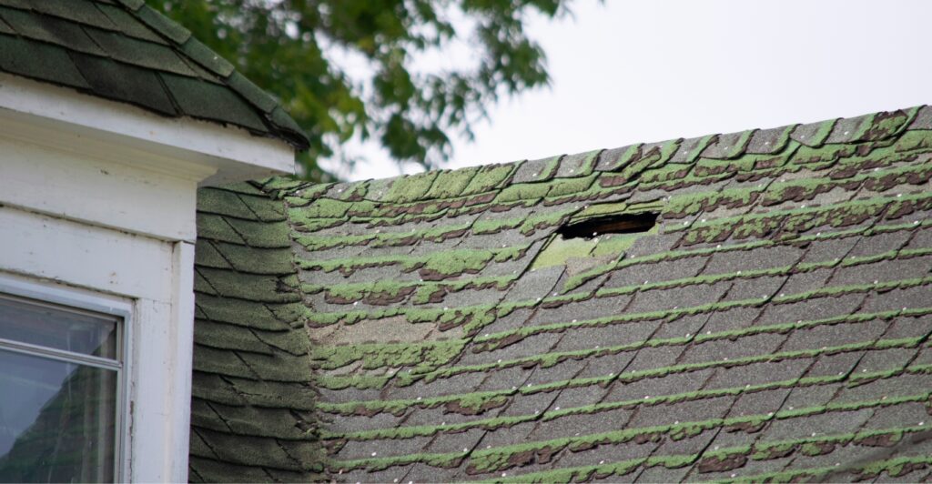 planning for kitchen remodel